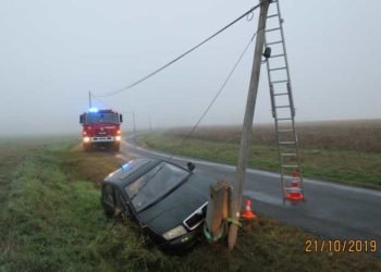 Řidič nepřiměřeně zareagoval na srnu přebíhající přes silnici