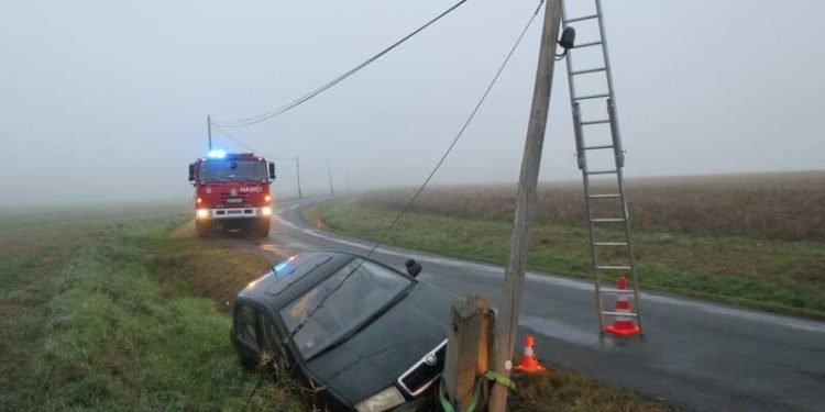 Řidič nepřiměřeně zareagoval na srnu přebíhající přes silnici