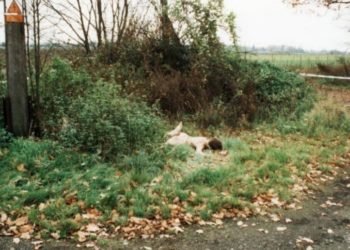 CeskeKrimi.cz | muž, který nikomu nechyběl | rozhlas.cz