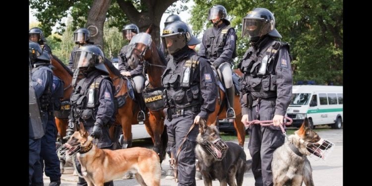 Policie ČR: Služební kynologie a hipologie