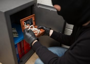 CeskeKrimi.cz | kriminalnik