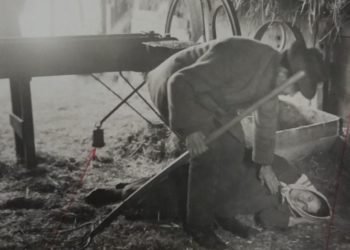 CeskeKrimi.cz | mrtvá z rybníka | Jitka Škápíková, Státní oblastní archiv v Praze