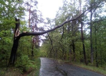 Silný vítr ničil střechy a lámal stromy