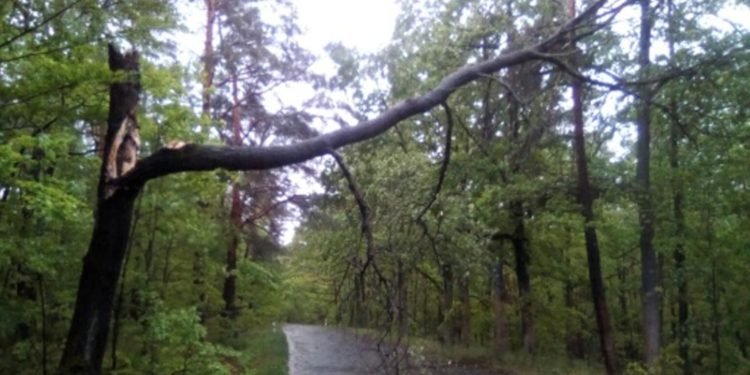 Silný vítr ničil střechy a lámal stromy