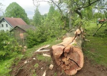 Výjezdy hasičů po dešti