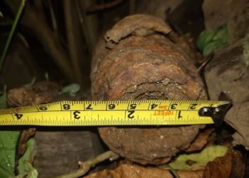 Na zahradě našel granát