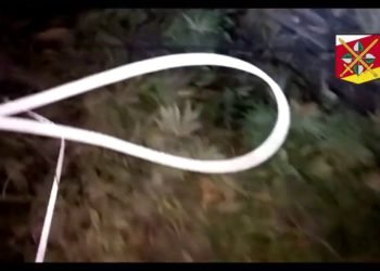 Policie ČR: Policie byla při sklizni rychlejší