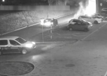 Policie ČR: Svérázným způsobem chtěla řešit stav klimatu