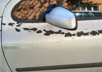 Sprejer se vyřádil…