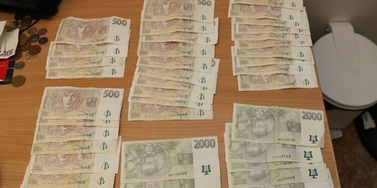 Za distribuci drog až pět let za mřížemi