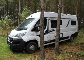 Cizinci hrozí až osm let vězení