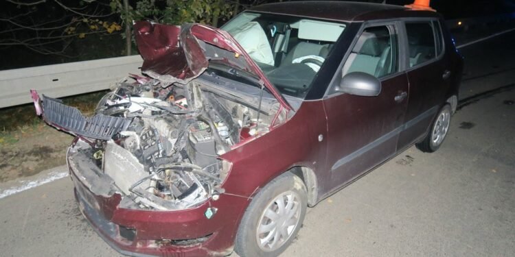 Přibývá střetů s lesní zvěří