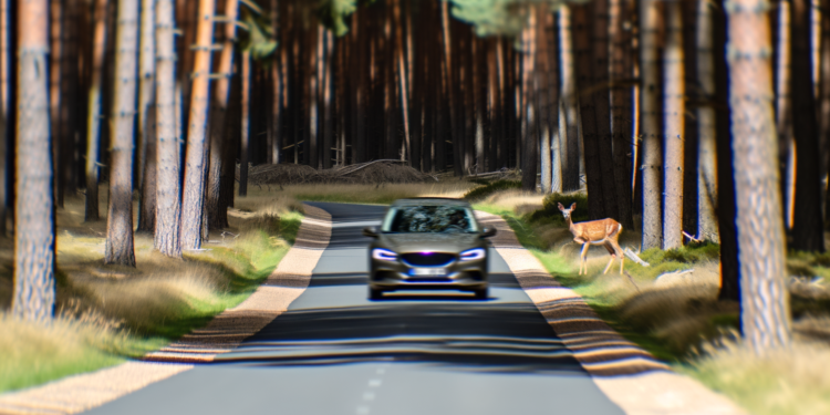 automobil jede přes les